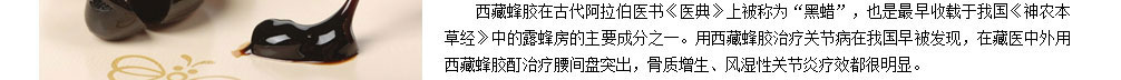 龙布峰针贴正品官网